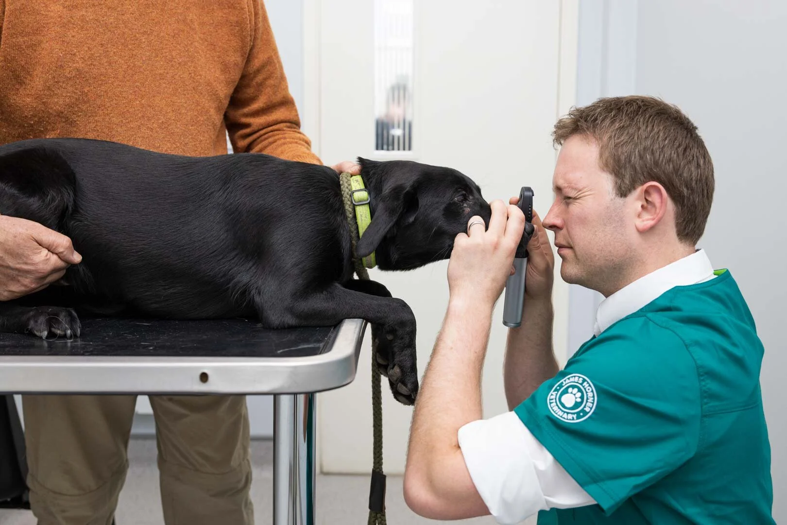 Important to Know: Diabetes in Pets