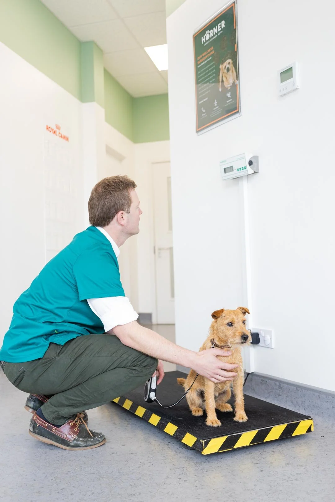 January Clinic Update: New Year &amp; New Addition to the Team