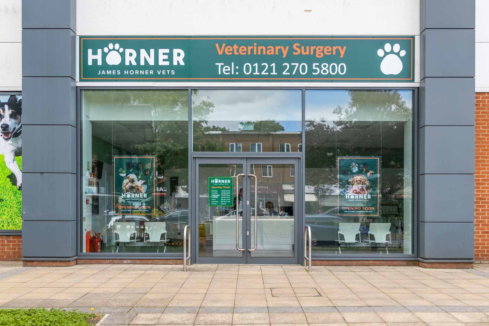 February Clinic Update: Goals &amp; Reviews