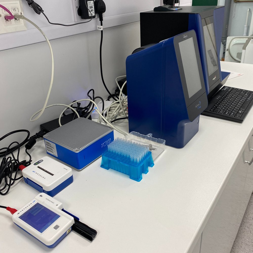 March Clinic Update: In Practice Blood Testing Now Available, Community Hub Coming &amp; Great Reviews!