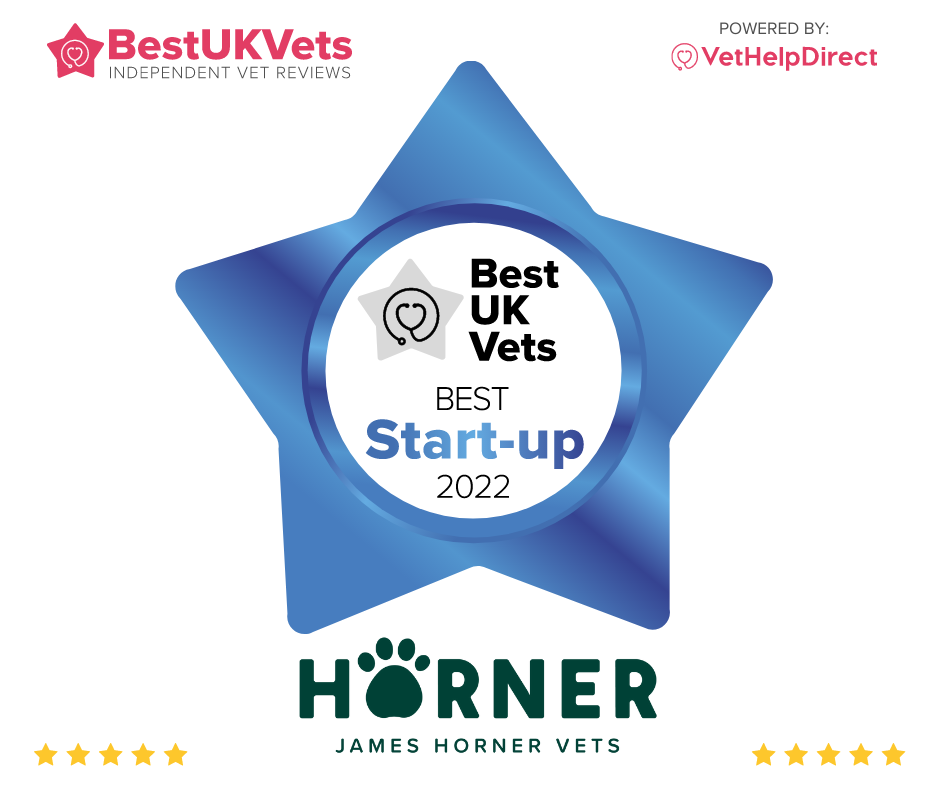 May Clinic Update: We Won Best Start Up at UK Vet Awards &amp; Yes! Good Dog UK is now Live...
