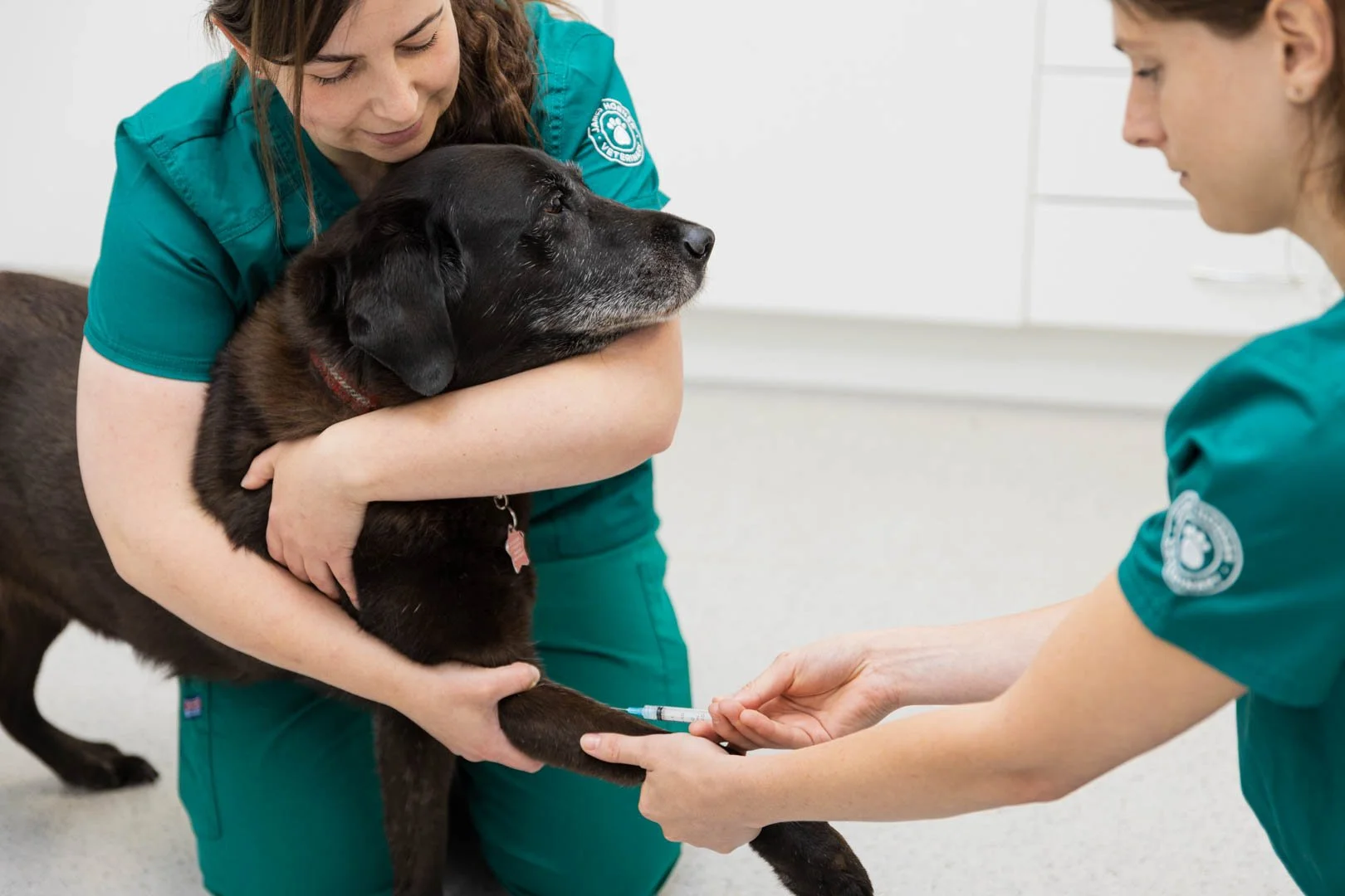 Important to Know: What are Blood Tests and what can they tell us?