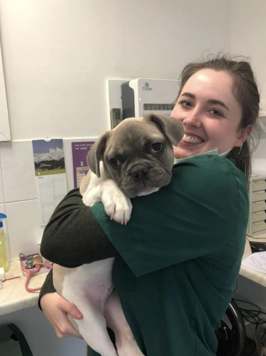 August Clinic Update: New Vets, holidays and blood samples!