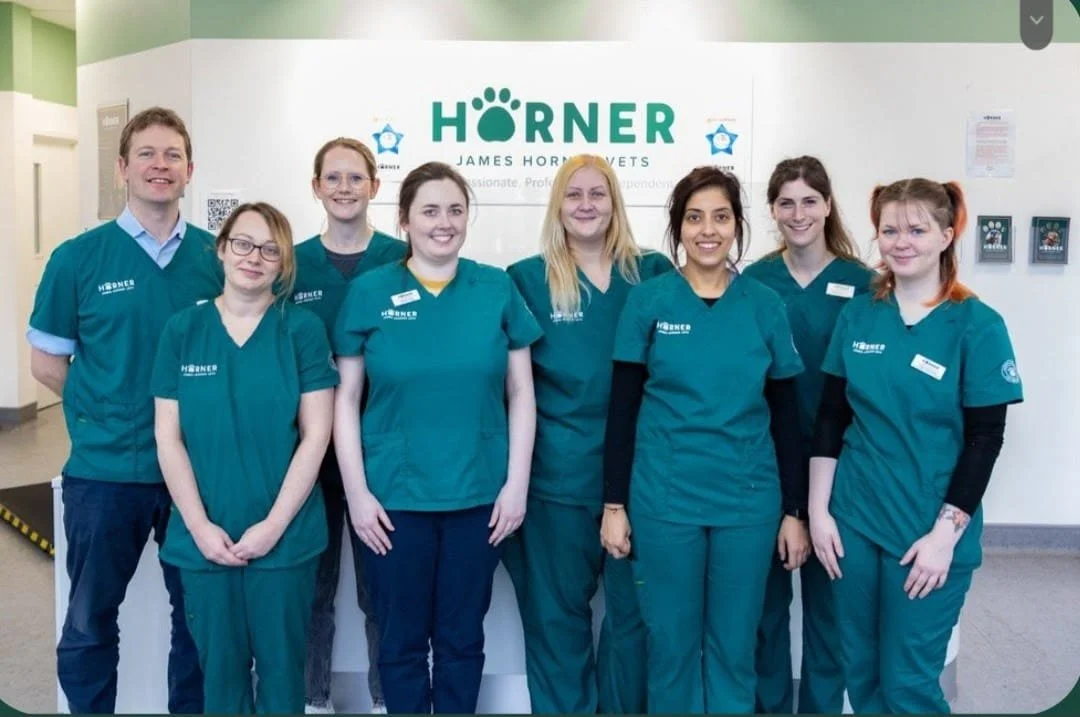 May 2023 Clinic Update 