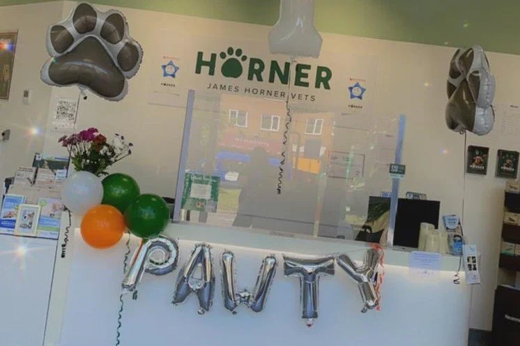 June 2023 Clinic Update 