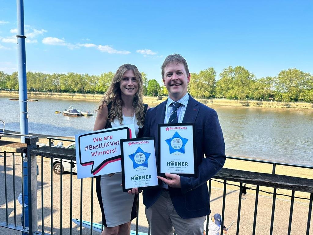 July 2023 Clinic Update