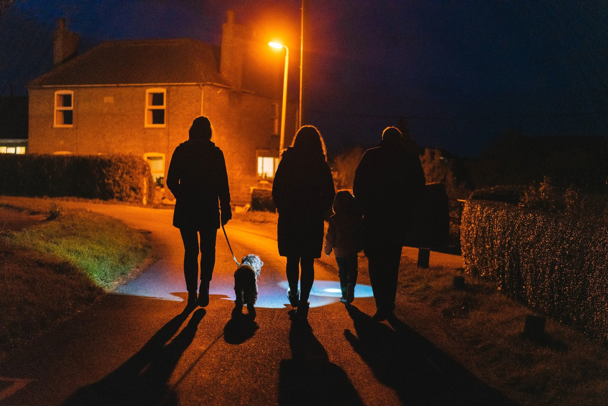 Safety while walking your dog at night