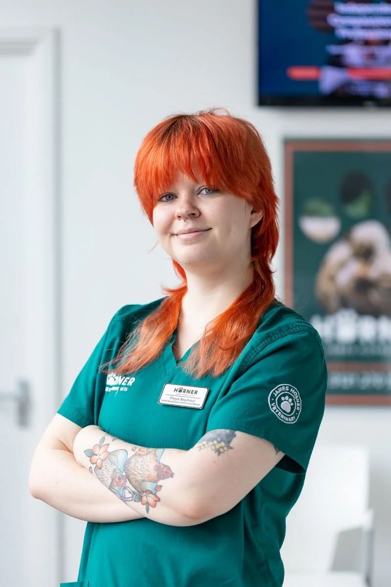 5 minutes with Freya