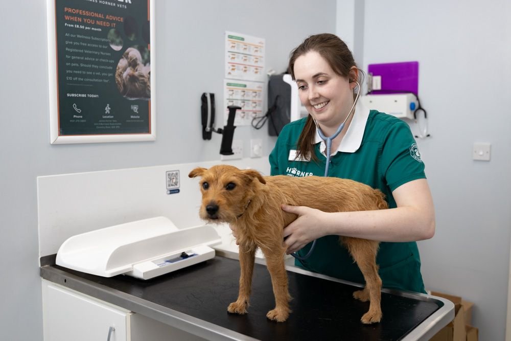 5 minutes with Hollie