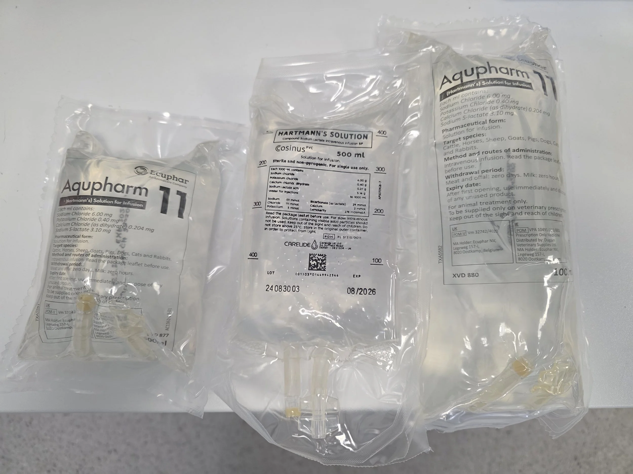 Important to know: Fluid Therapy in Small Animal Veterinary Practice