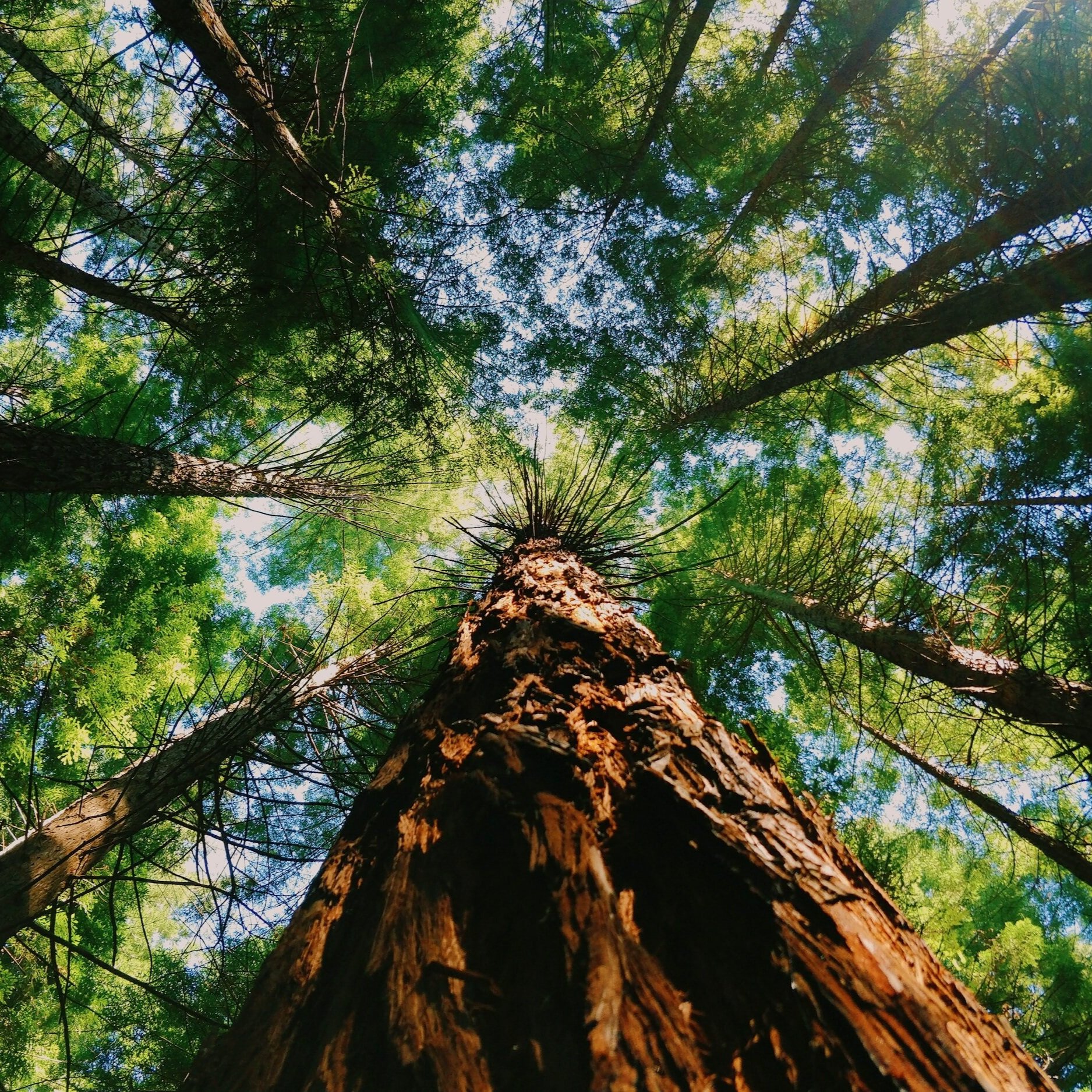 #72: Bend so you don't break: a stress survival guide