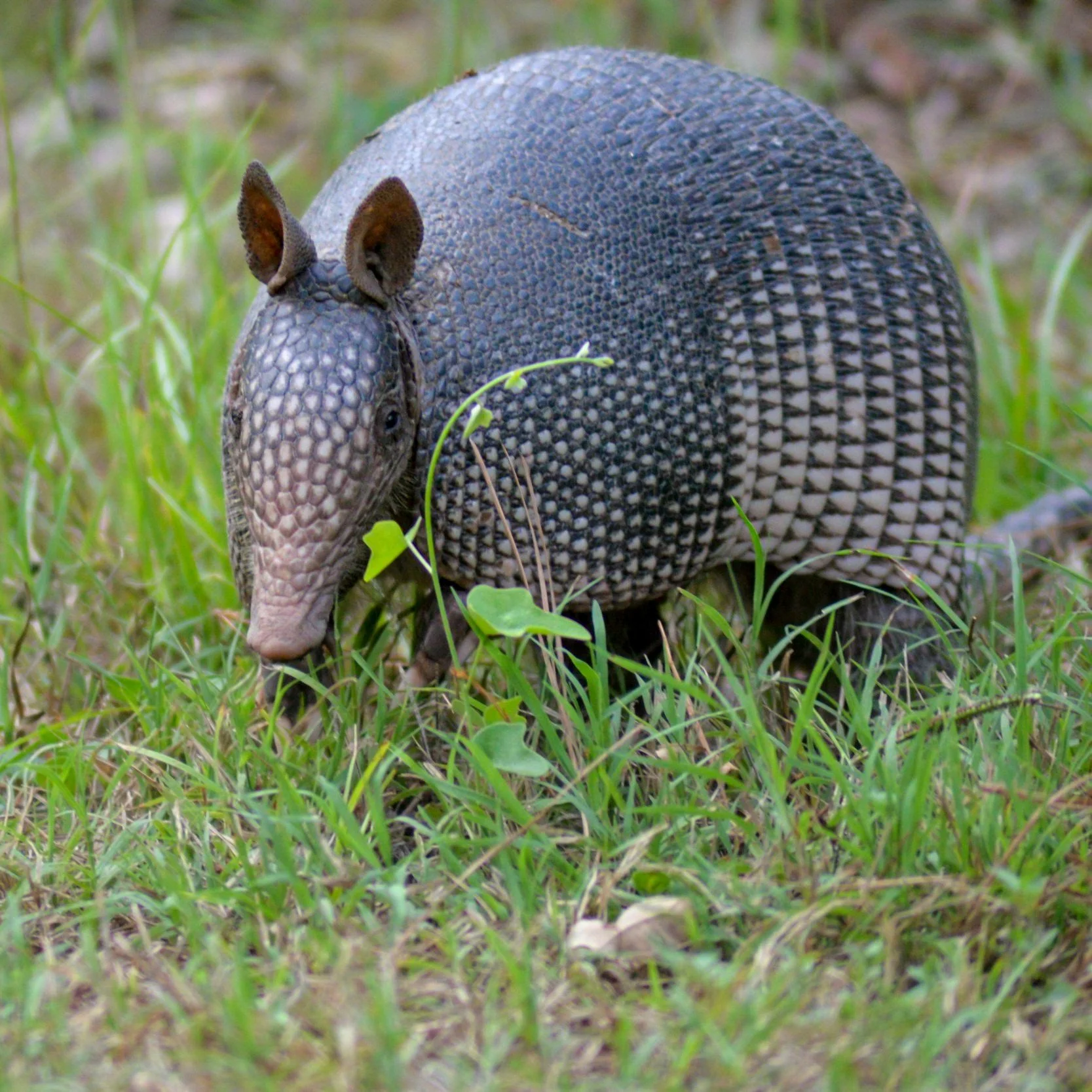 #123: What do you have to brag about?