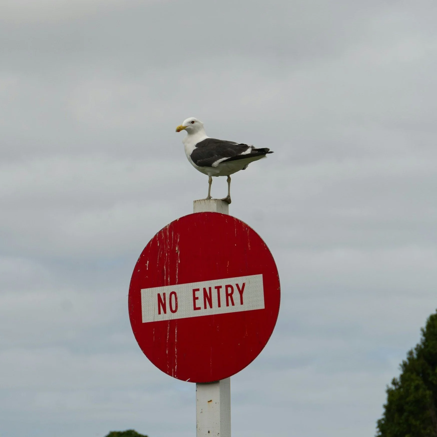 #139: How to say no (and be heard)