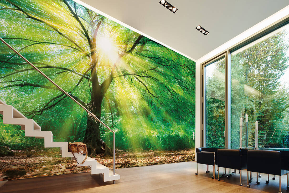 Forest Light Wallpaper Mural | Versace Luxury Designer Wallpaper - Genuine  Versace | Home Decor Hull Limited