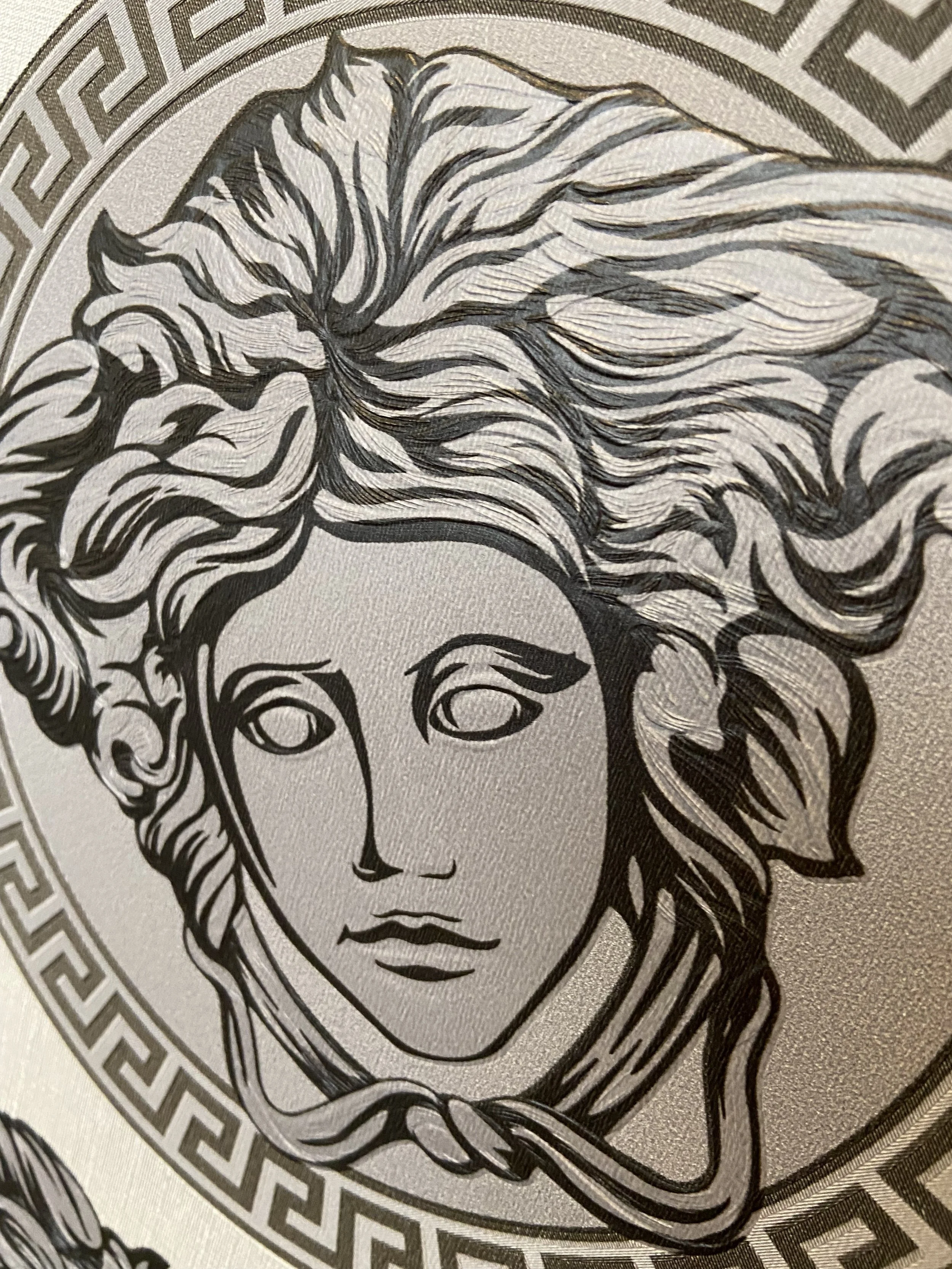 Versace 5 Medusa Head Wallpaper Grey 386112 Transform Your Space with