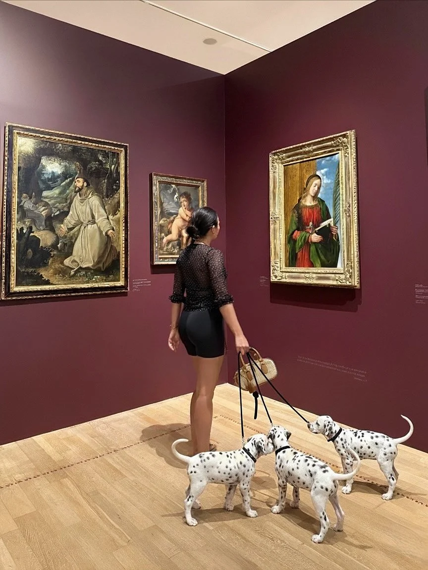 Exploring Mexico City&rsquo;s Museo Soumaya with some puppy dalmatian fwends 🐾🐶 (don&rsquo;t tell Kai) 

#mexicocity #artmuseums #mexicocity🇲🇽 #ai #outfit