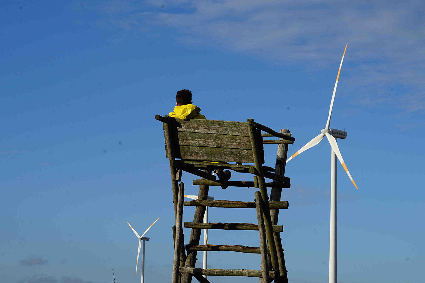 Live at Palaissommer