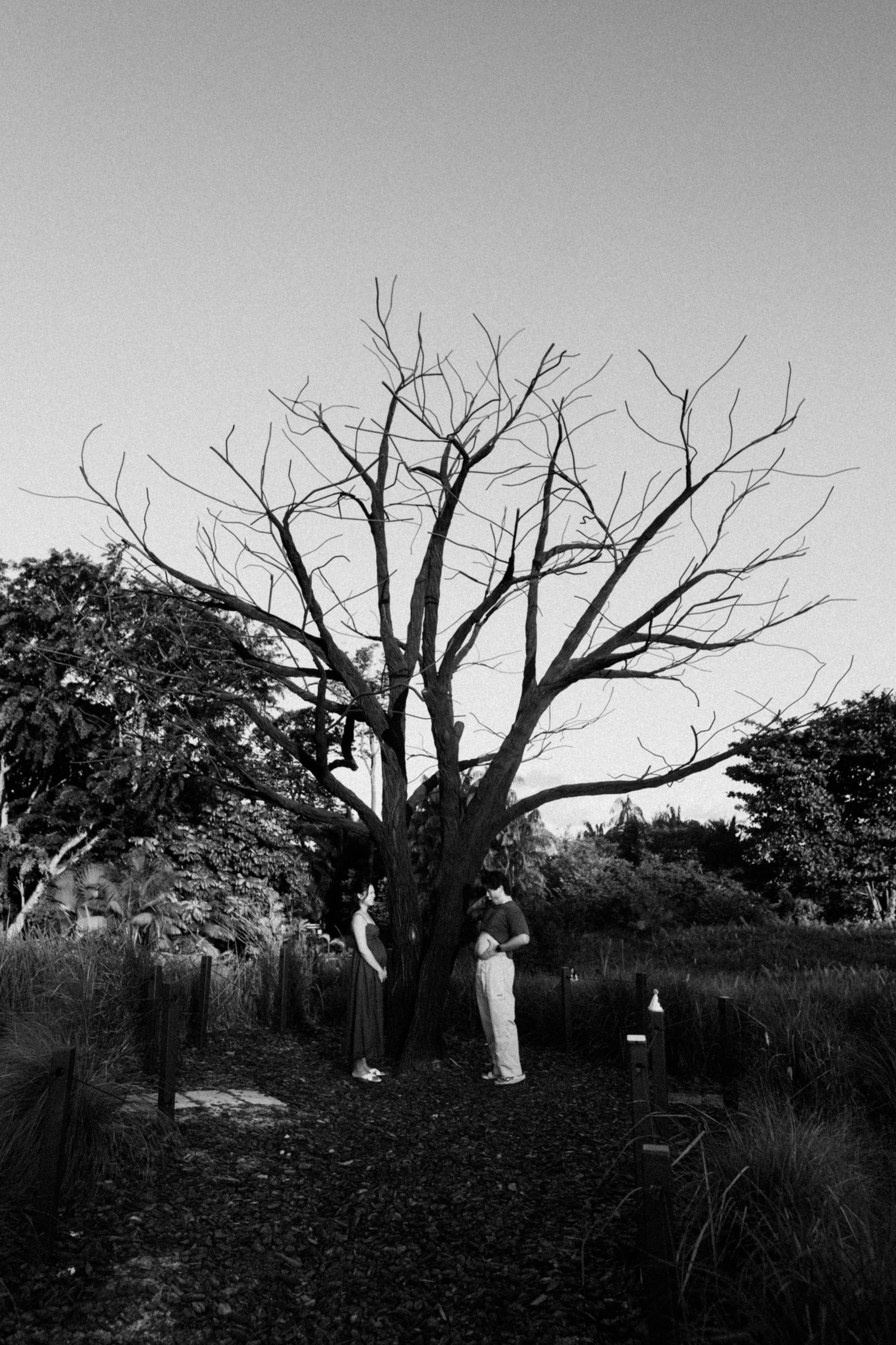 Joshua & Erica Maternity (80 of 185).jpg
