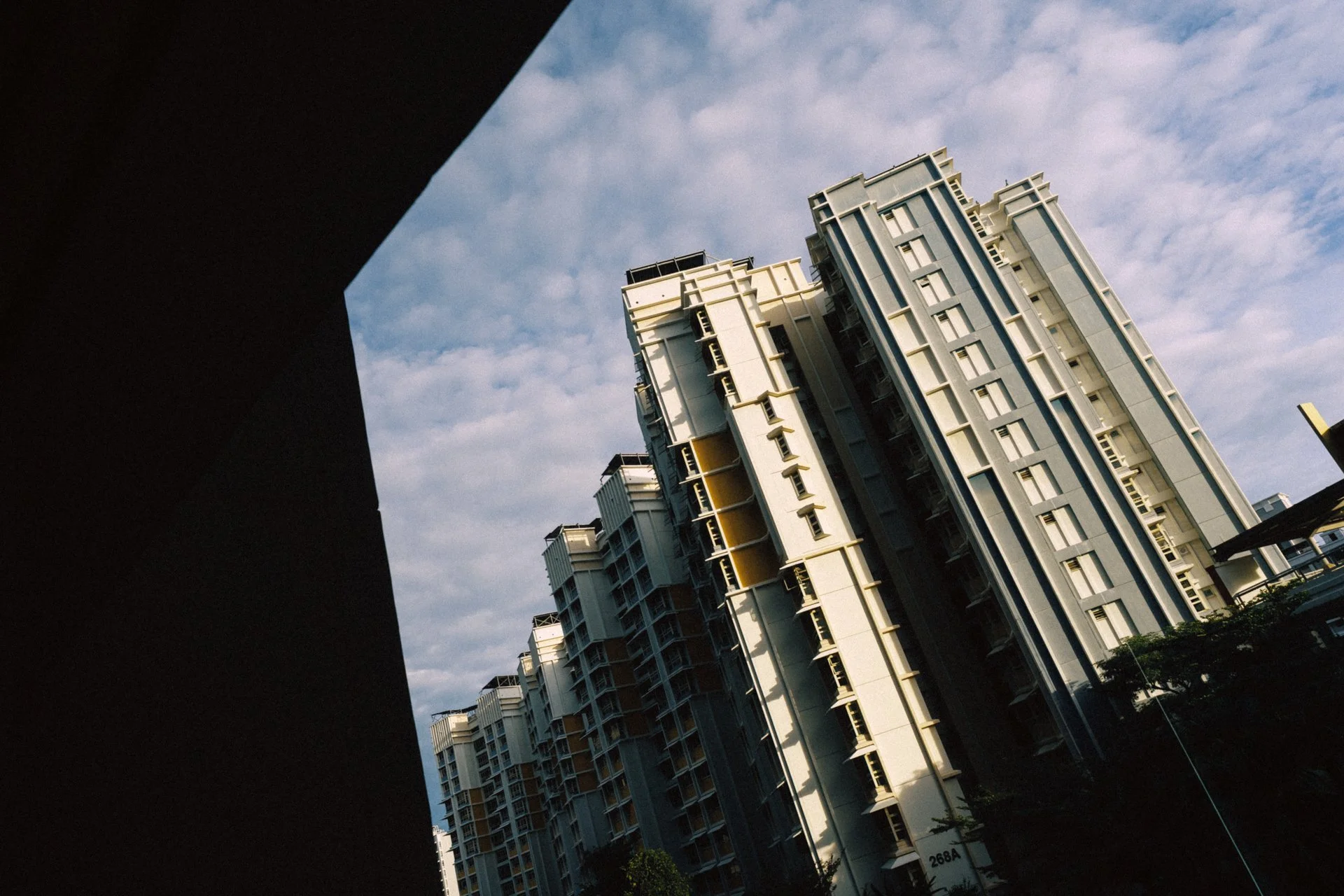 20251129 - Jerold & Alina - 001.jpg