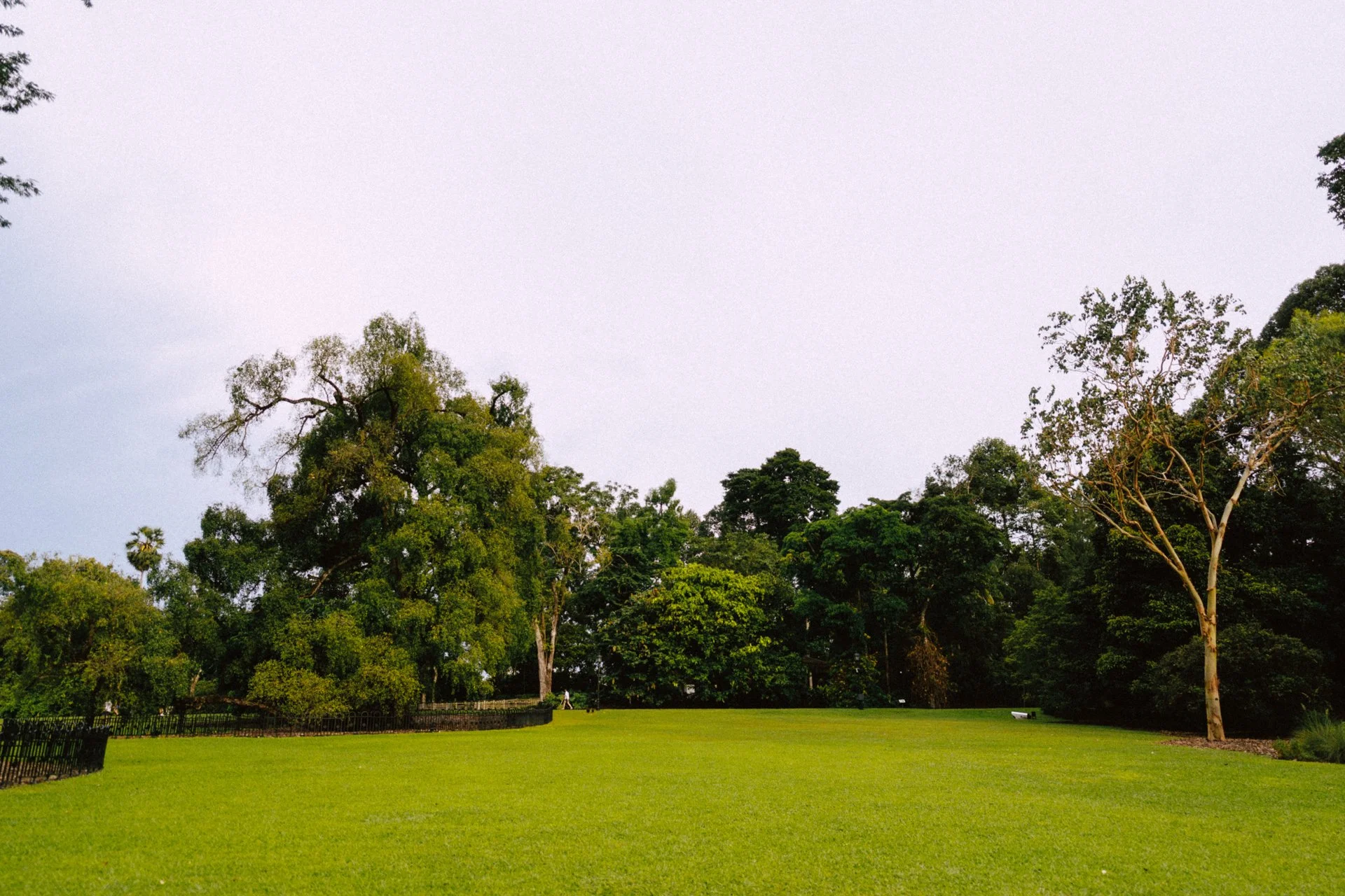 20251228 - Ryan & Eunice Proposal - 018.jpg