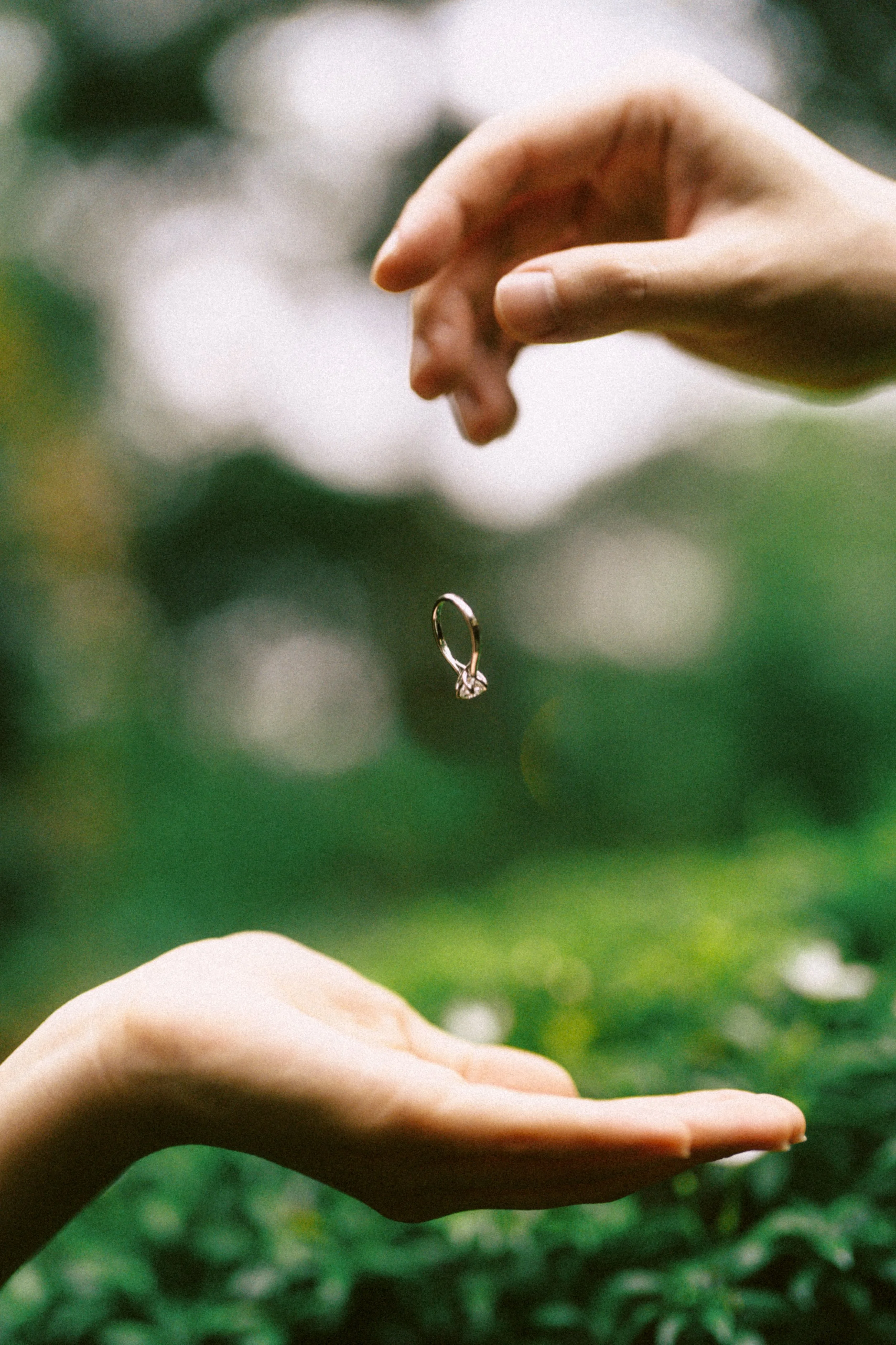 Zhi Xuan & Hyun Proposal (159 of 184).jpg