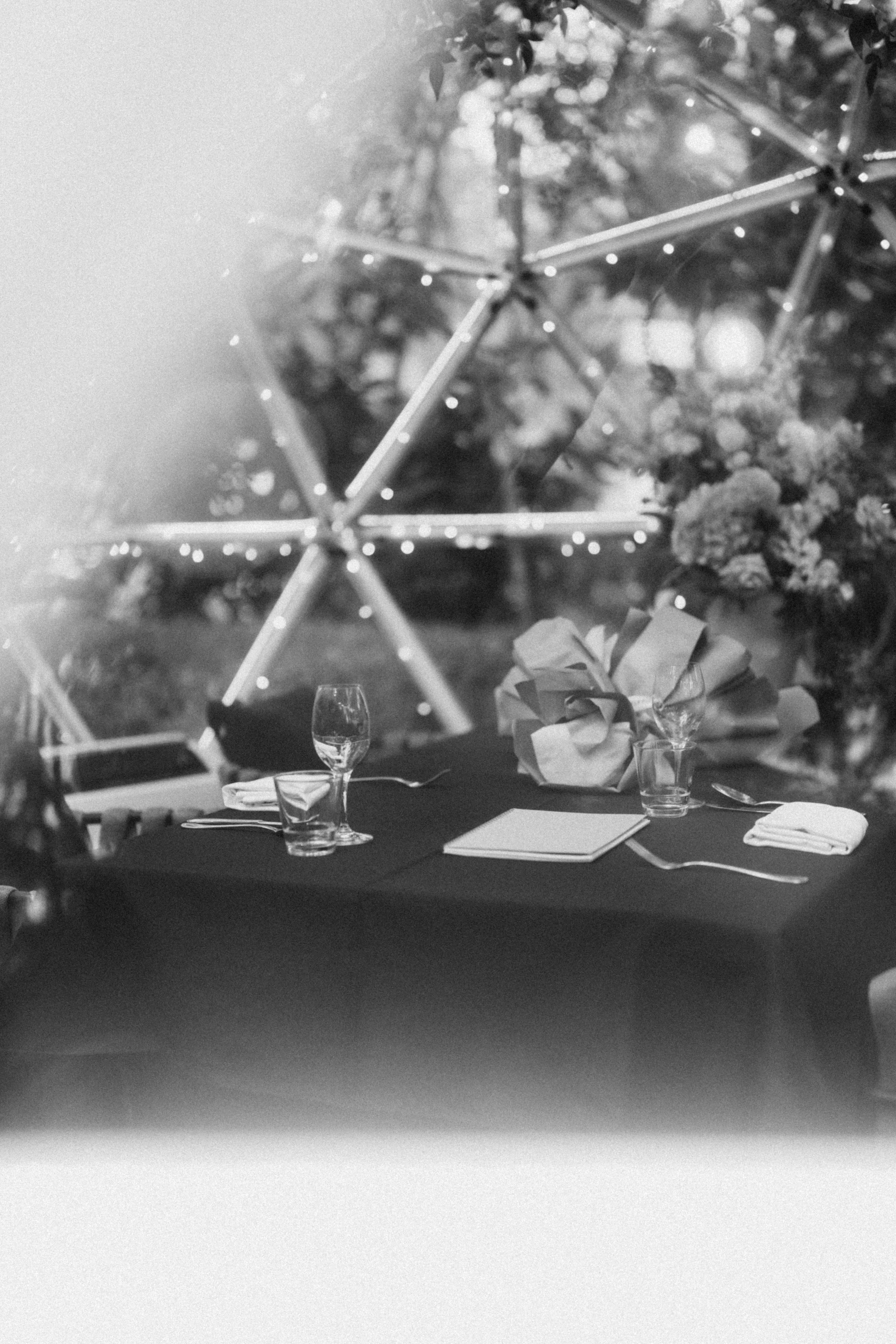 Zhi Xuan & Hyun Proposal (18 of 184).jpg
