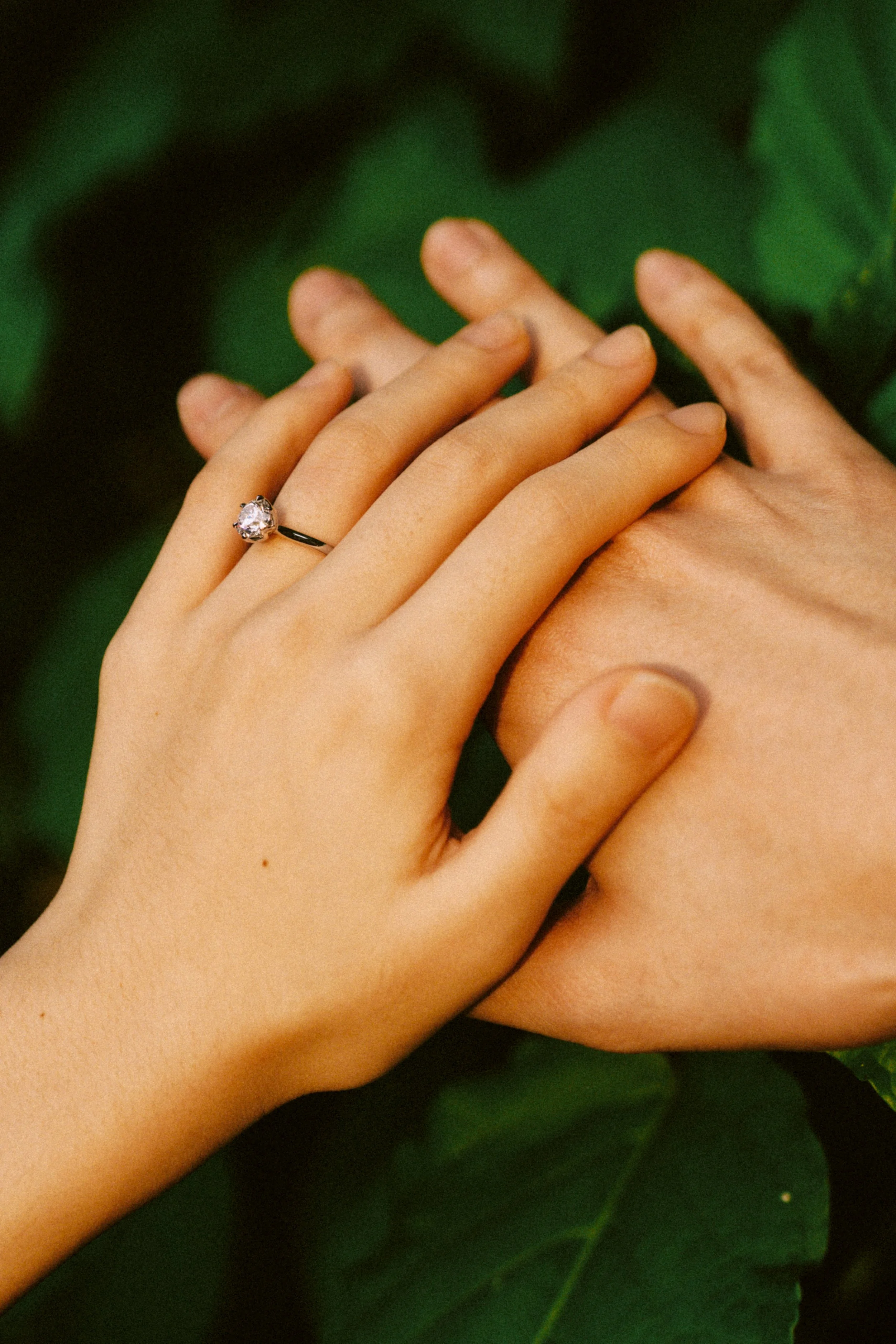 Zhi Xuan & Hyun Proposal (173 of 184).jpg