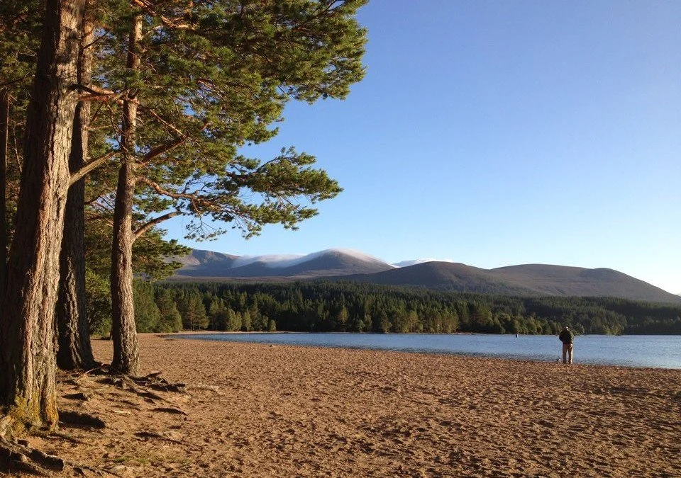 Loch-Morlich-afternoon-960x675.jpeg