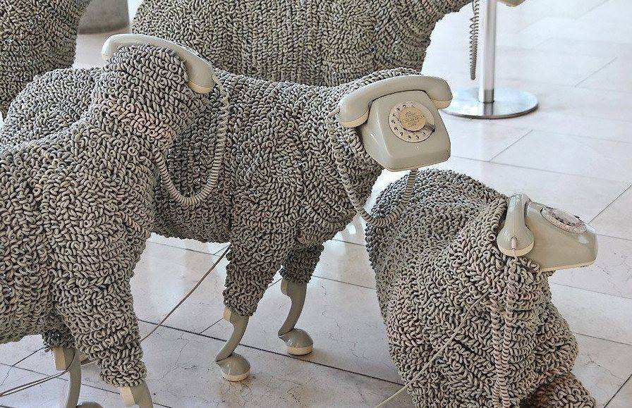 JeanLuc Telephone sheep.jpeg