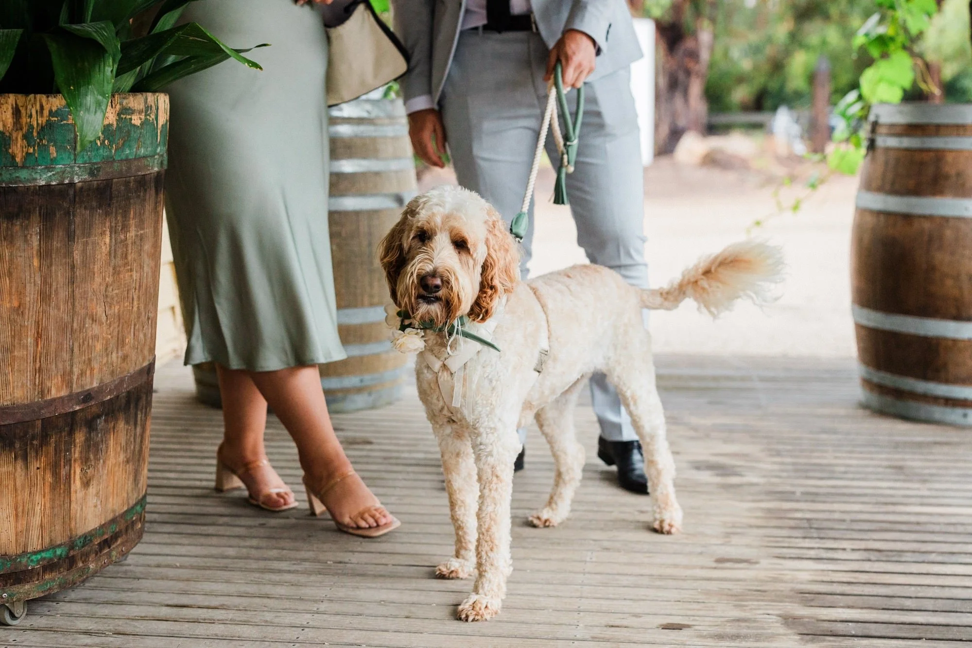 Tom-Amy-Mornington-Peninsula-Wedding-Photography - 32.jpeg