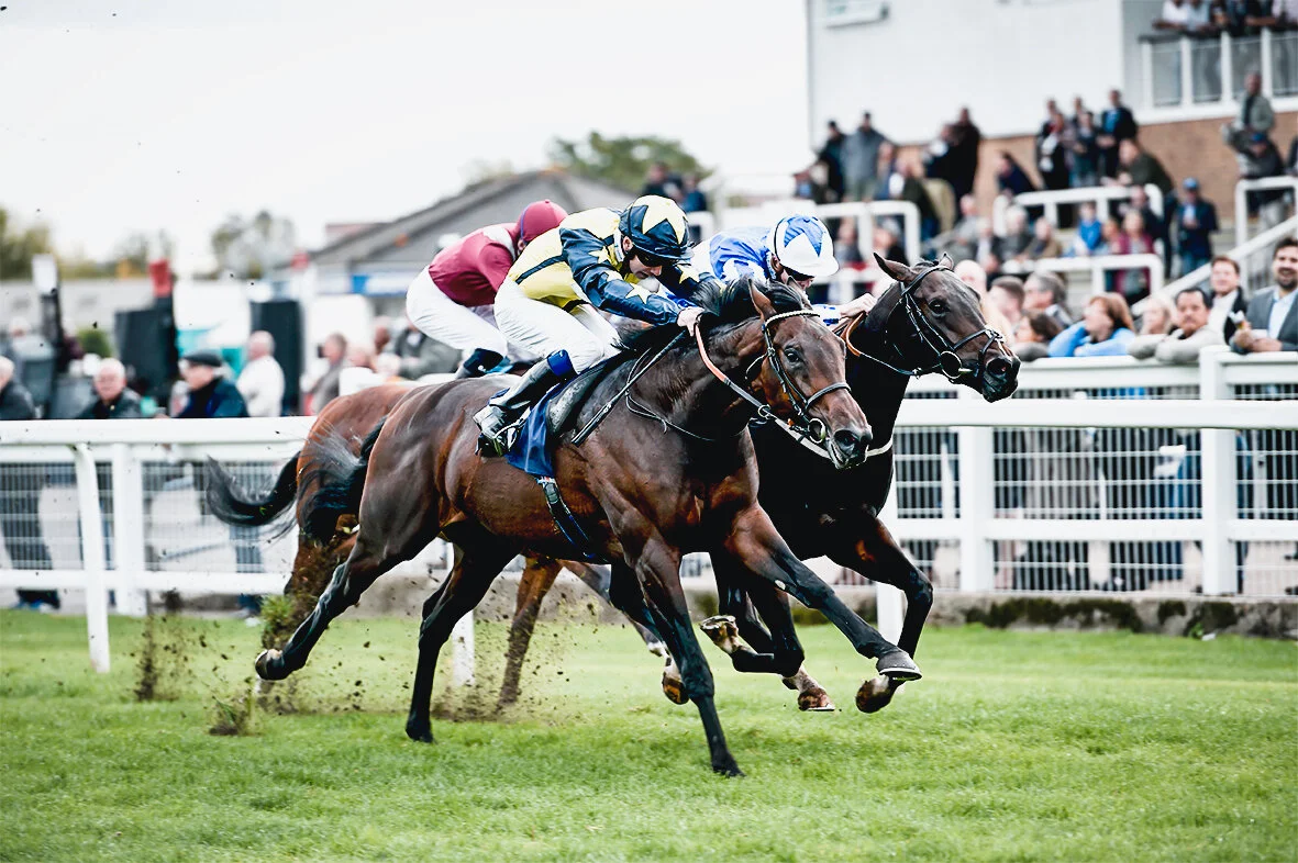Surrey Racing Surrey Racing Horse Racing Syndicates