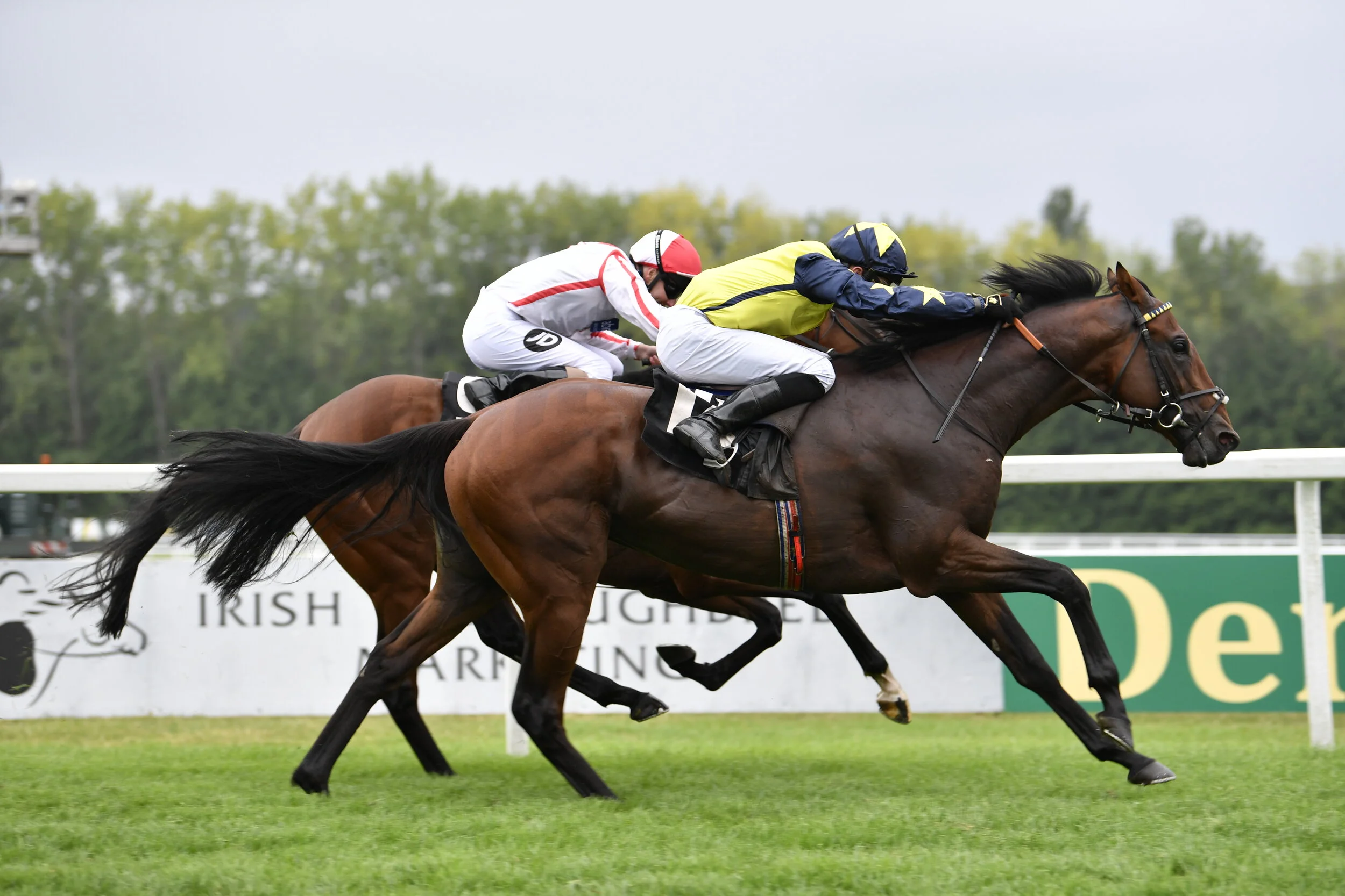 Weekly Update - 9th May