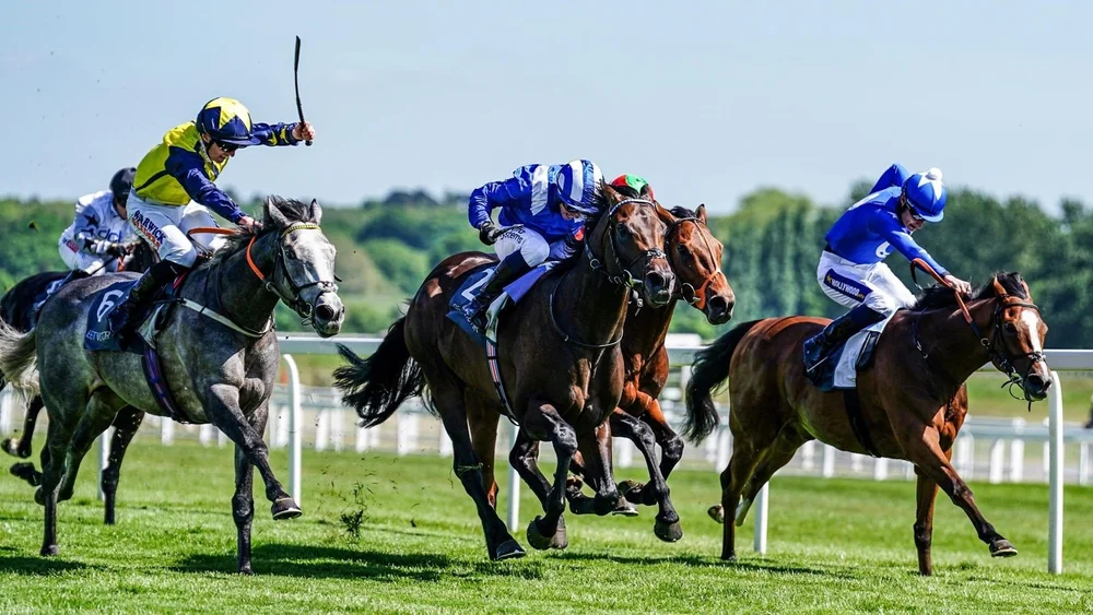 Surrey Racing Winners - Affordable racehorse ownership - Surrey Racehorse Syndicates ...