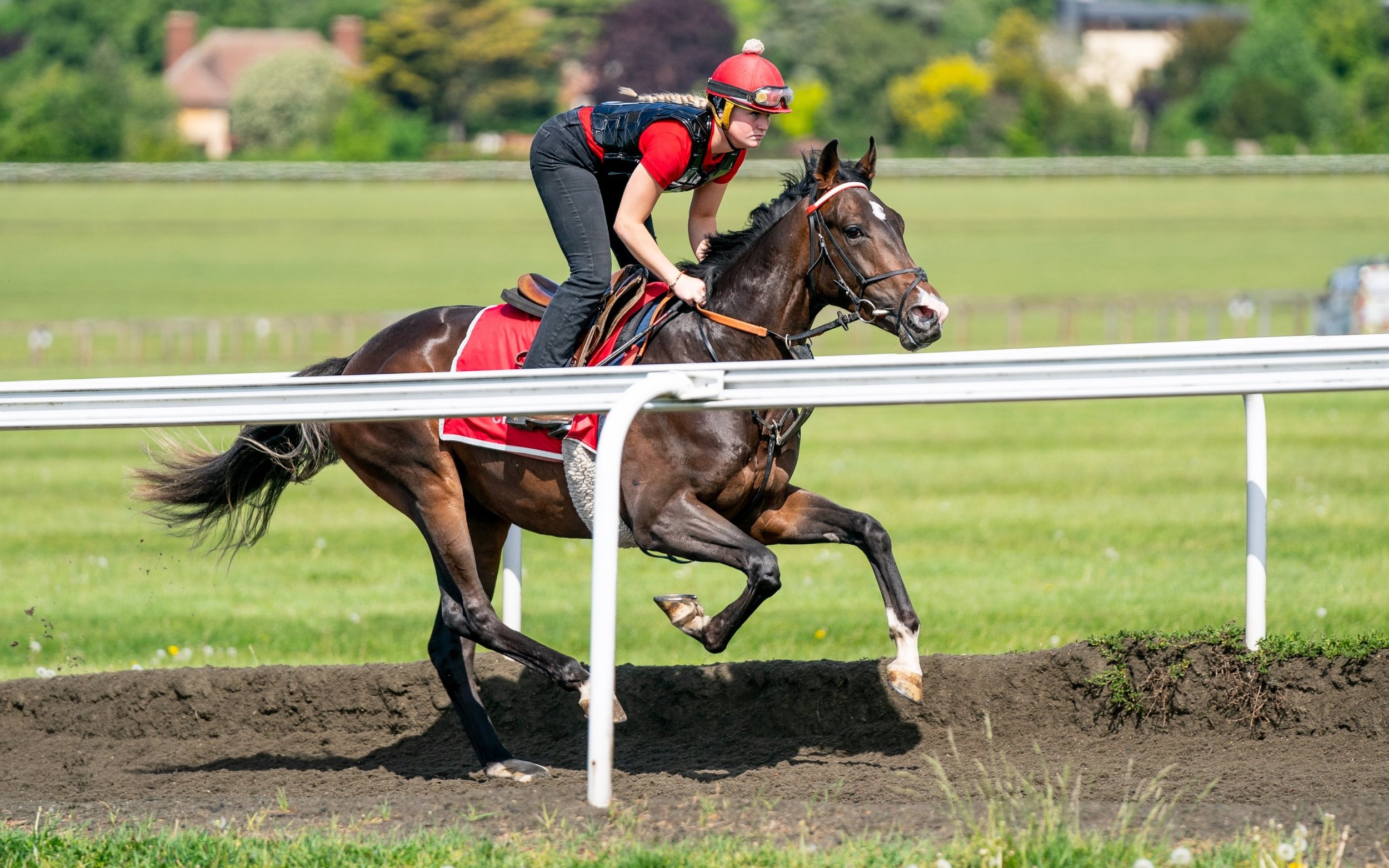 Horse Racing Syndicates — Surrey Racing horse racing syndicates