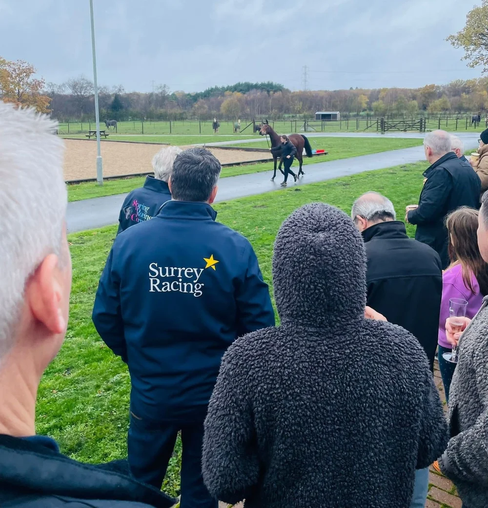 Surrey Racing Ownership — Surrey Racing horse racing syndicates