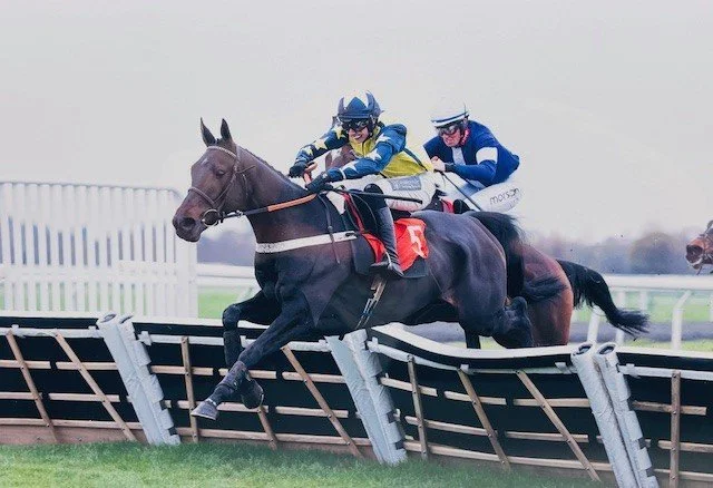 February 22nd Update