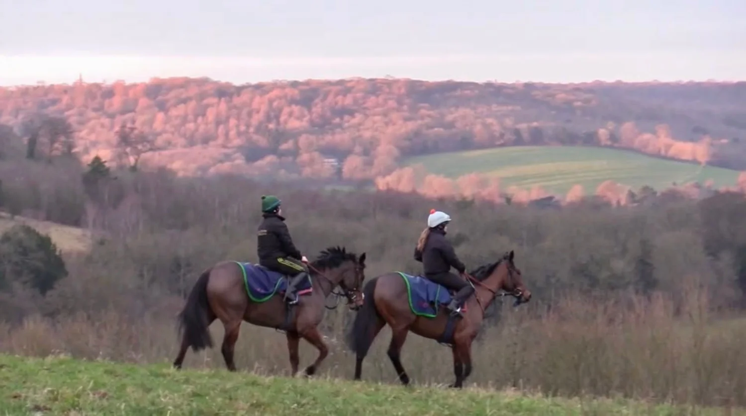Surrey Racing Affordable racehorse ownership - Surrey Racehorse Syndicates — Surrey ...