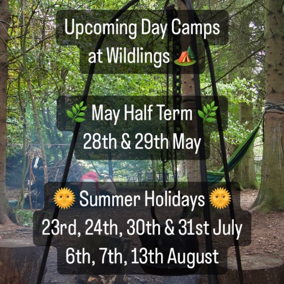 Don&rsquo;t miss out on these summer sessions @thewildlingsgroup! Bookings are now open for our Day Camps this season 🌞

Ever wondered what Wildlings Day Camps are like? Let me paint the scene&hellip; 💭

The smoky scent of the campfire&rsquo;s radi