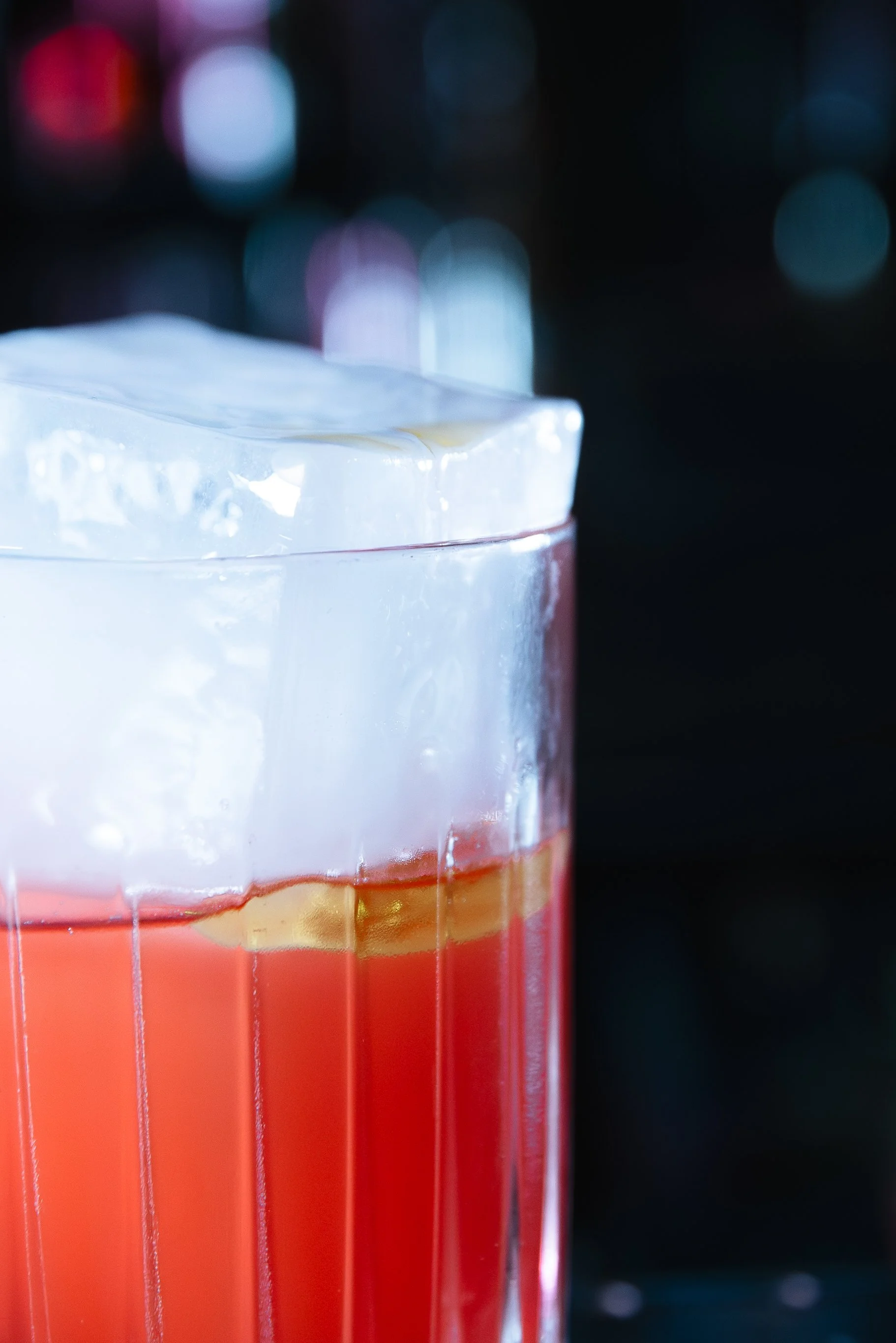 Faune 15_01_26-24.jpg