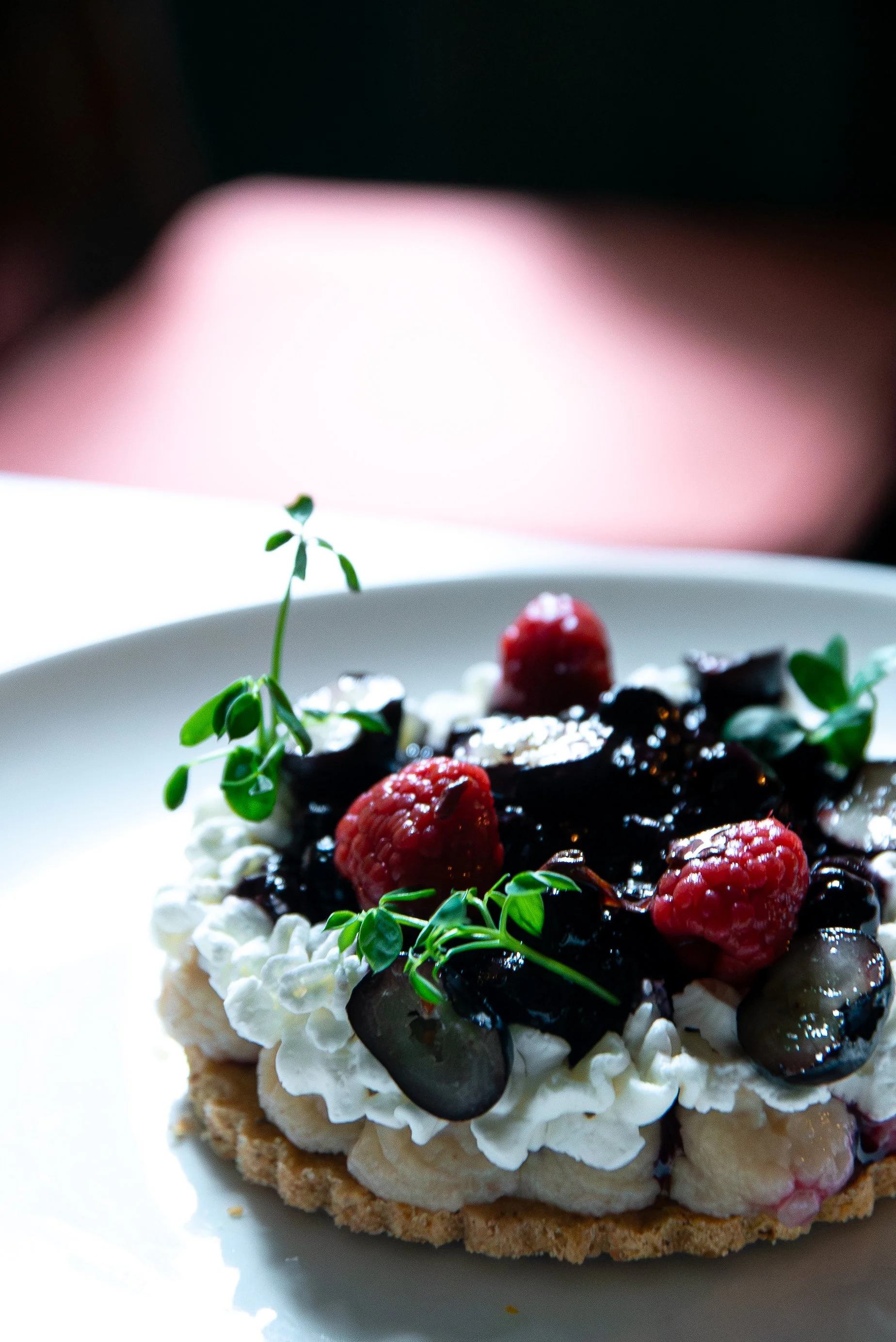 Faune 21_01_26-10.jpg