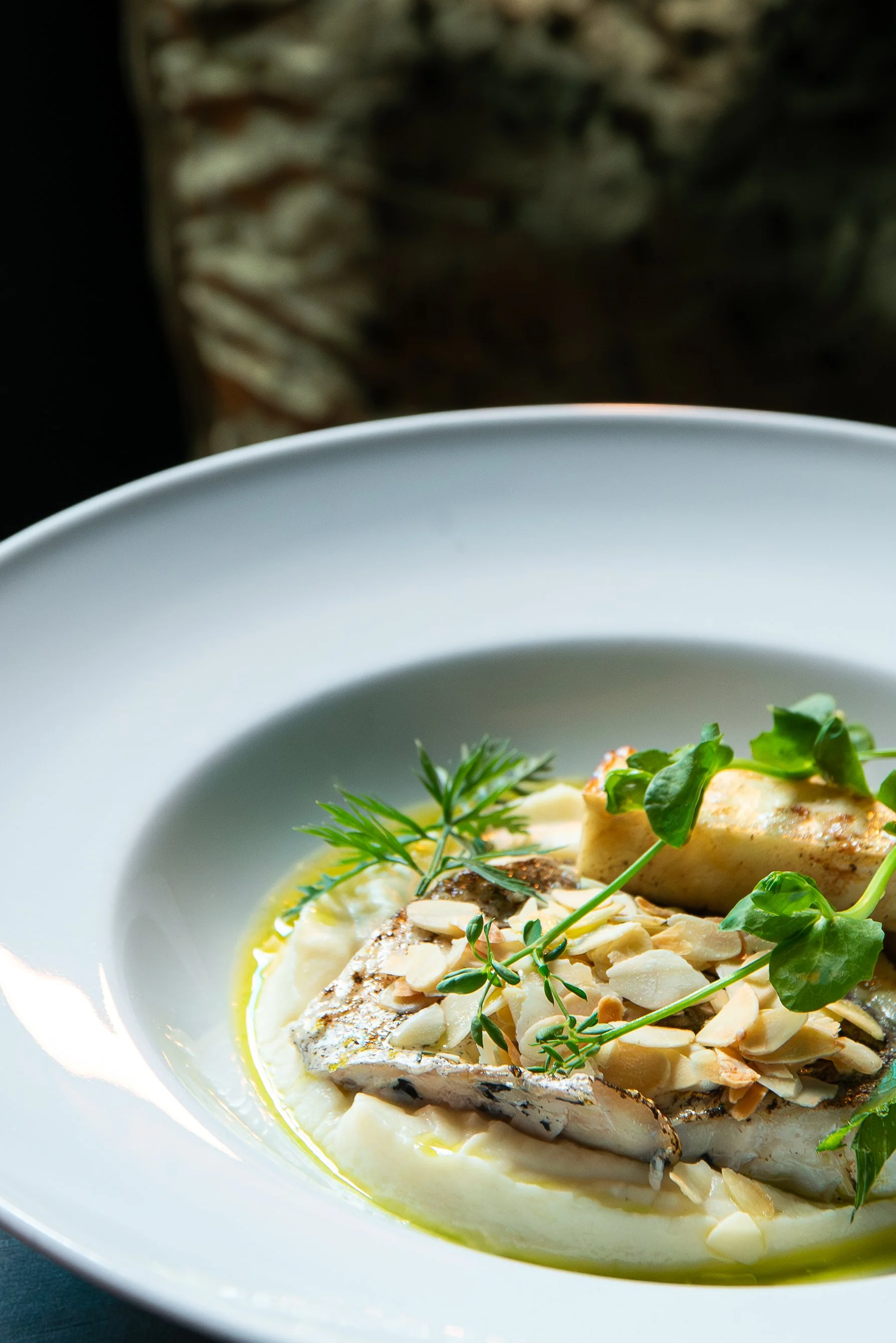 Faune 21_01_26-01.jpg