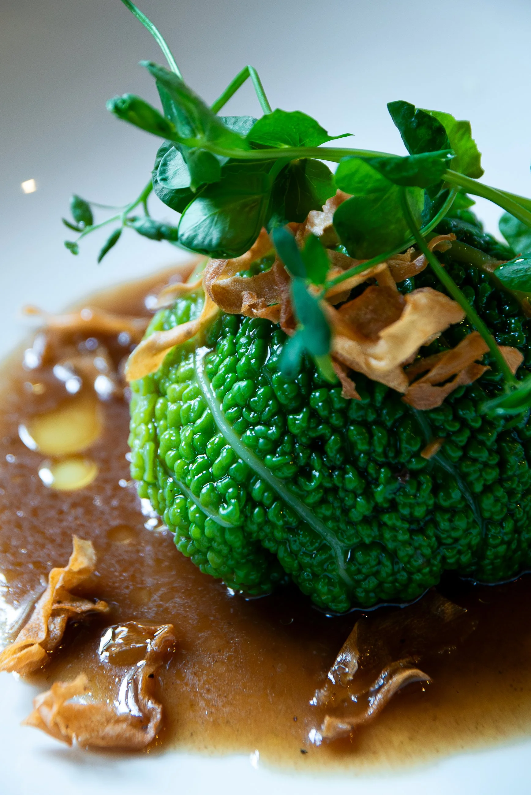 Faune 21_01_26-20.jpg