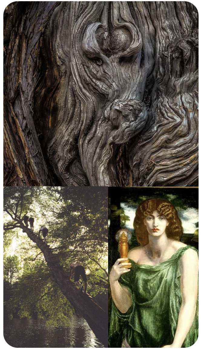 Screenshot 2026-02-27 at 13.59.21.png