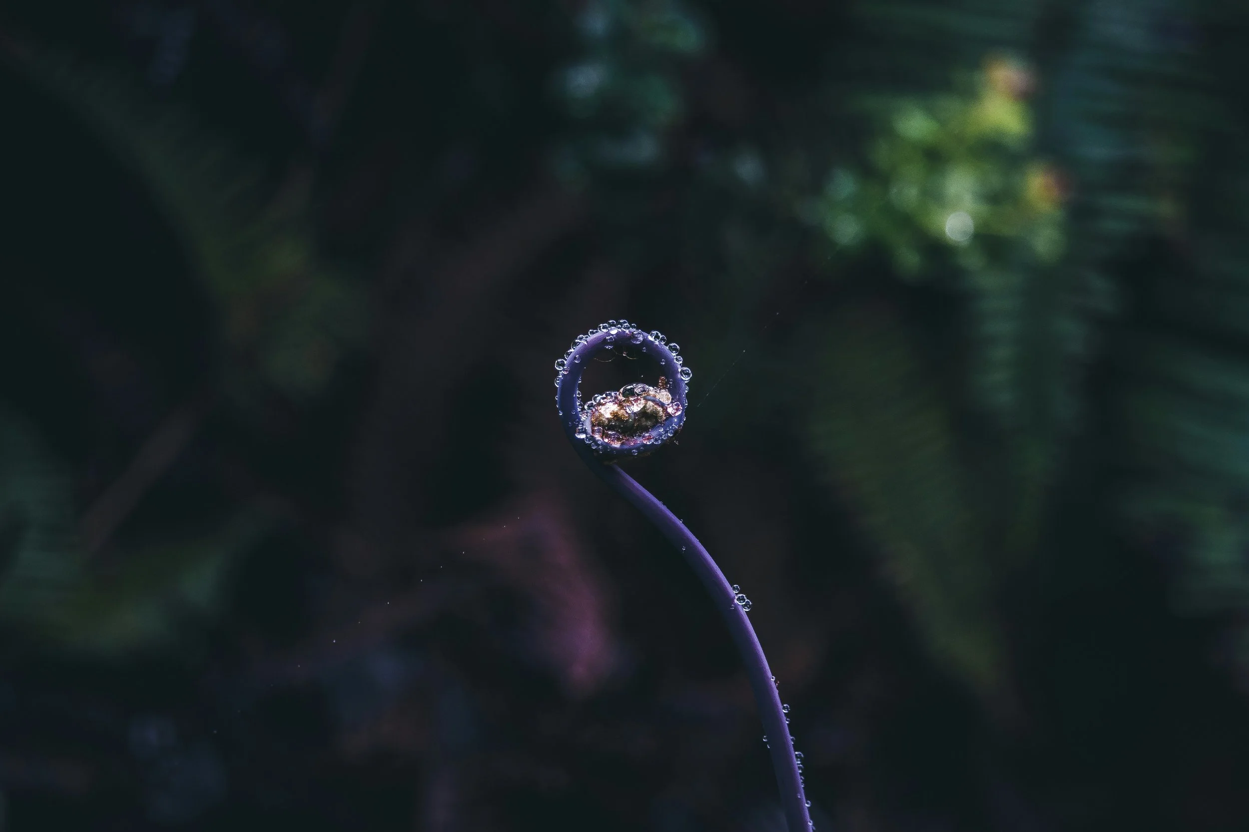 The Hidden Design of Cause and Effect