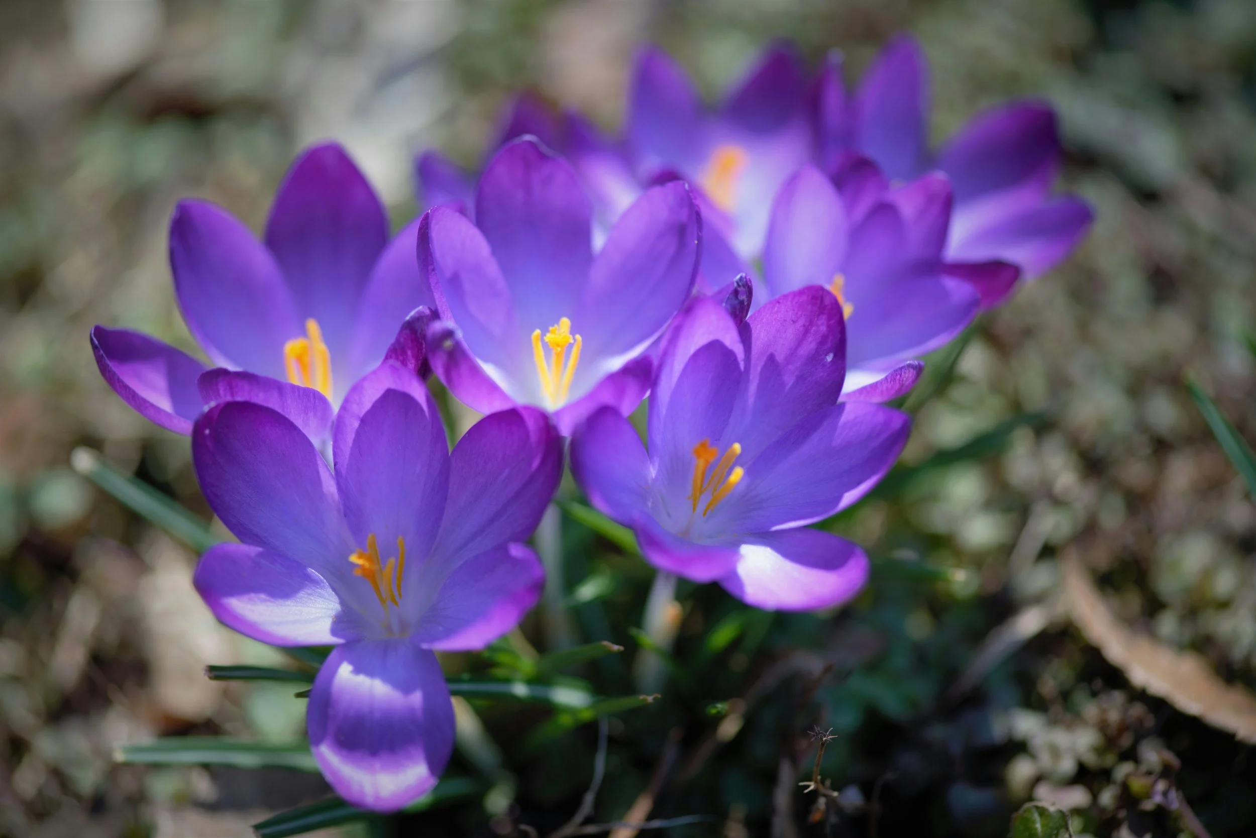 Cultivating Togetherness