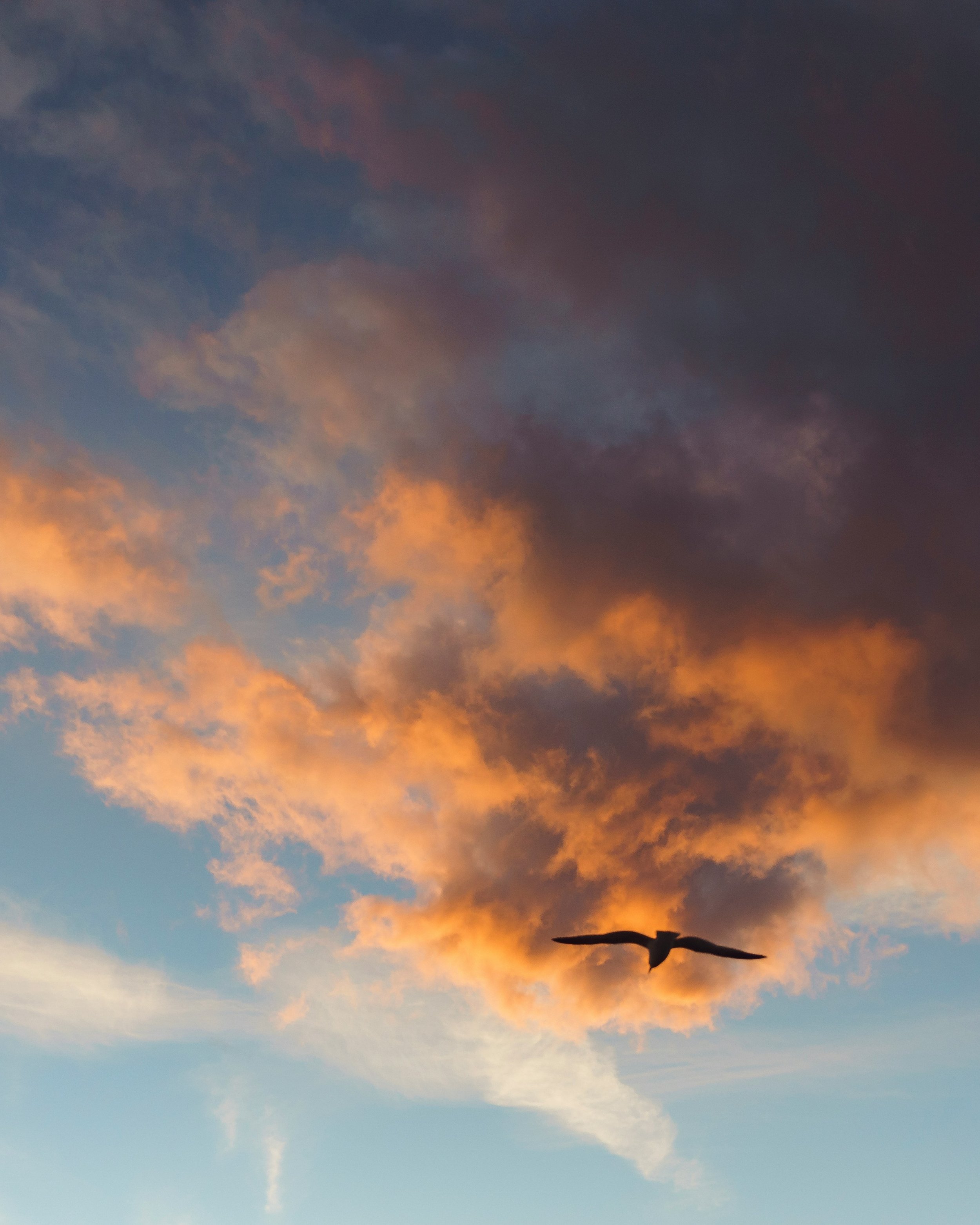 Bonus Episode: New Moon of Aries Consciousness and Meditation