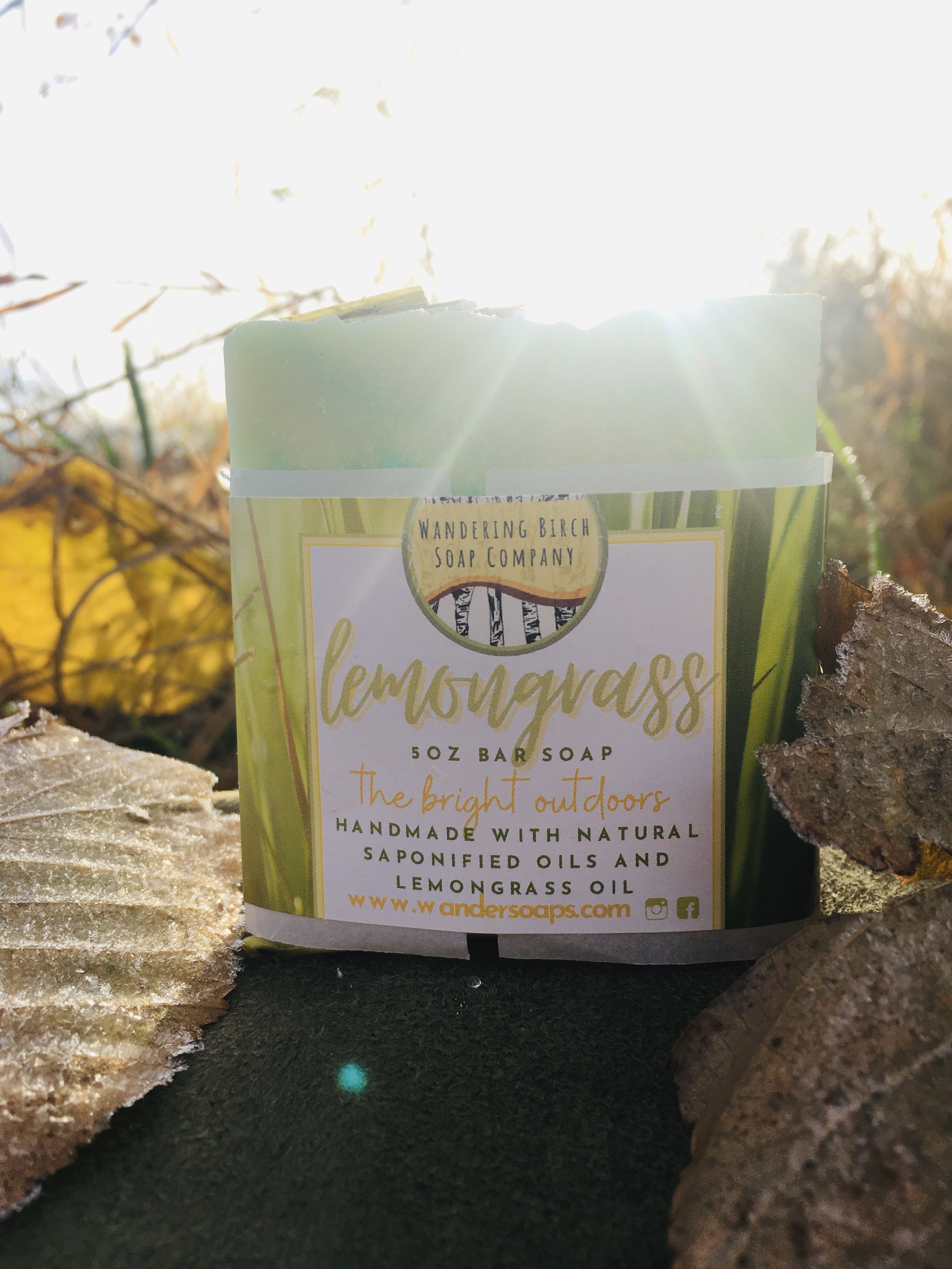 Lemongrass Fall Photo.jpeg