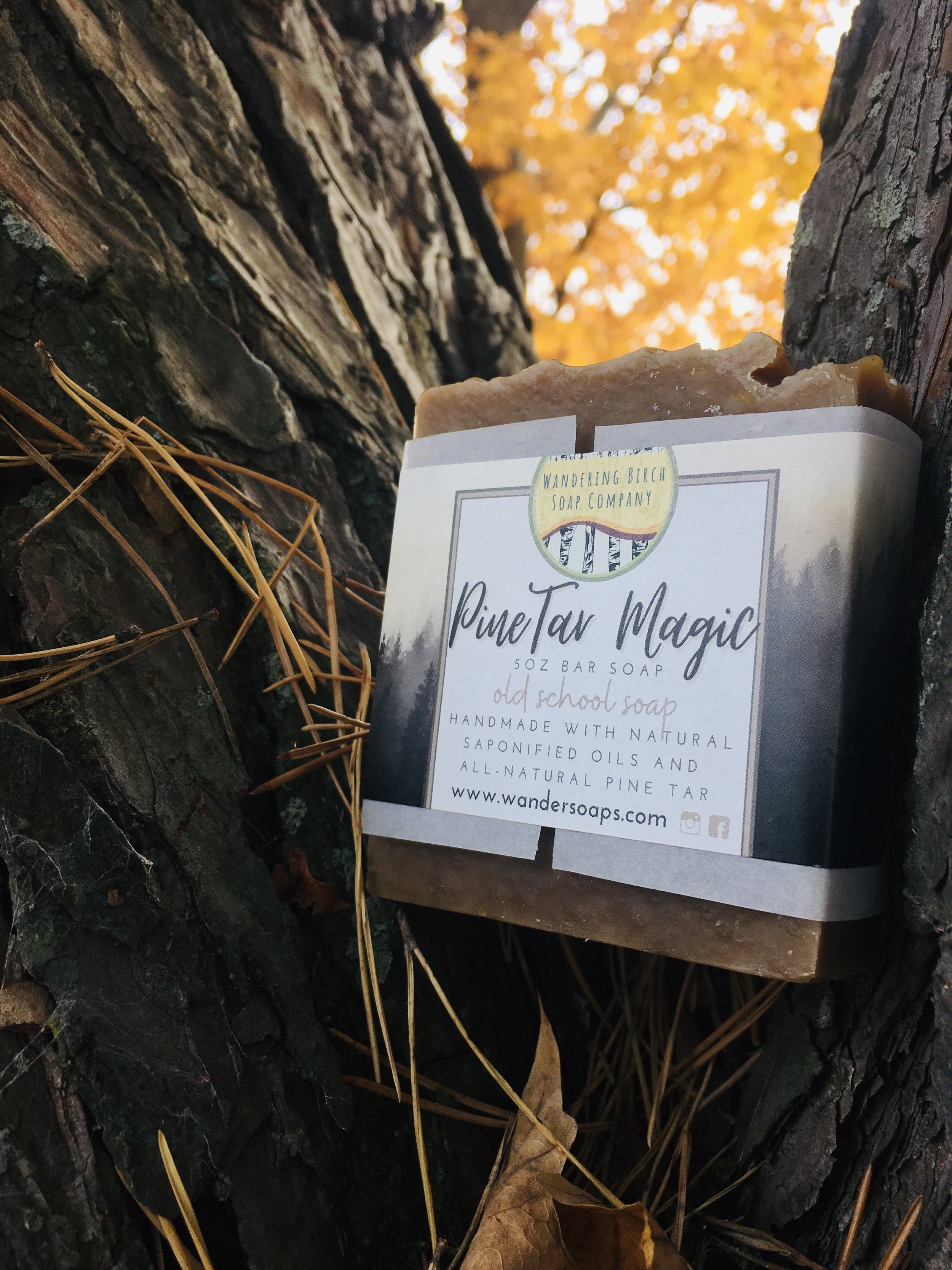 Pine Tar Magic Fall Photo.jpeg