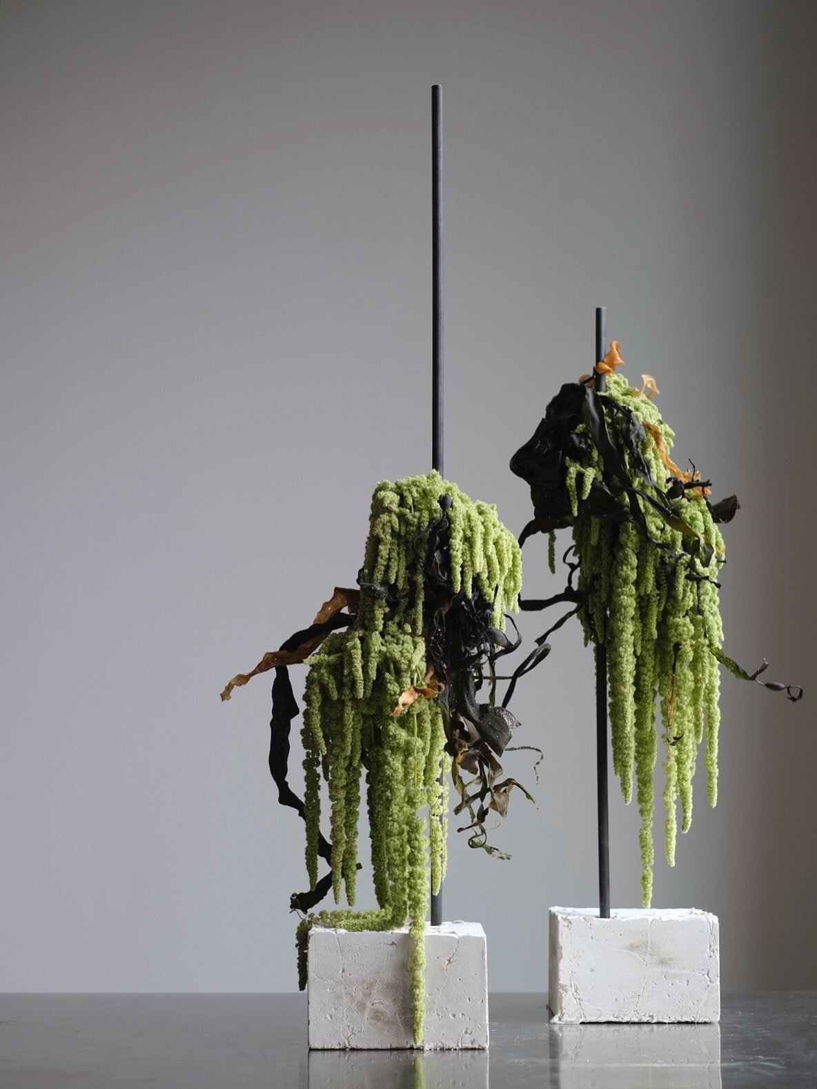 Yesterday was World Ocean Day and we had the pleasure of creating these sculptural pieces for a special event at Joss Bay. 

Inspired by England&rsquo;s coastal landscapes, the designs echo oceanic forms&mdash;pairing dried seaweed from the Cornish c