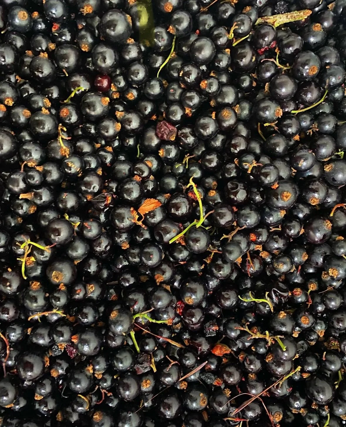 Screenshot 2025-08-20 at 09.43.59.jpeg